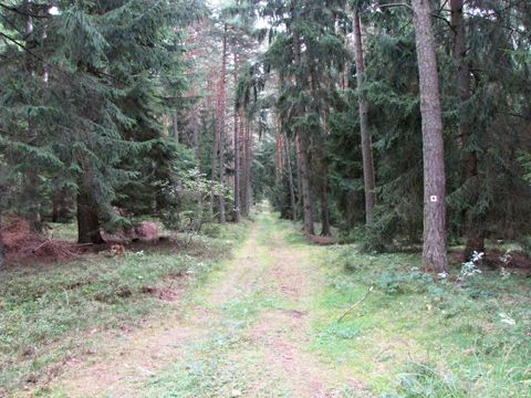 Foto 16